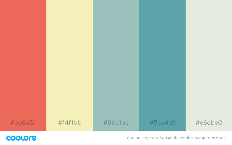 The Best Color Palette Generators