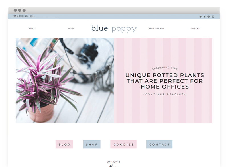 Blue Poppy Wordpress theme for bloggers. A shot of the light, airy homepage, which is perfect for lifestyle bloggers and photographers.