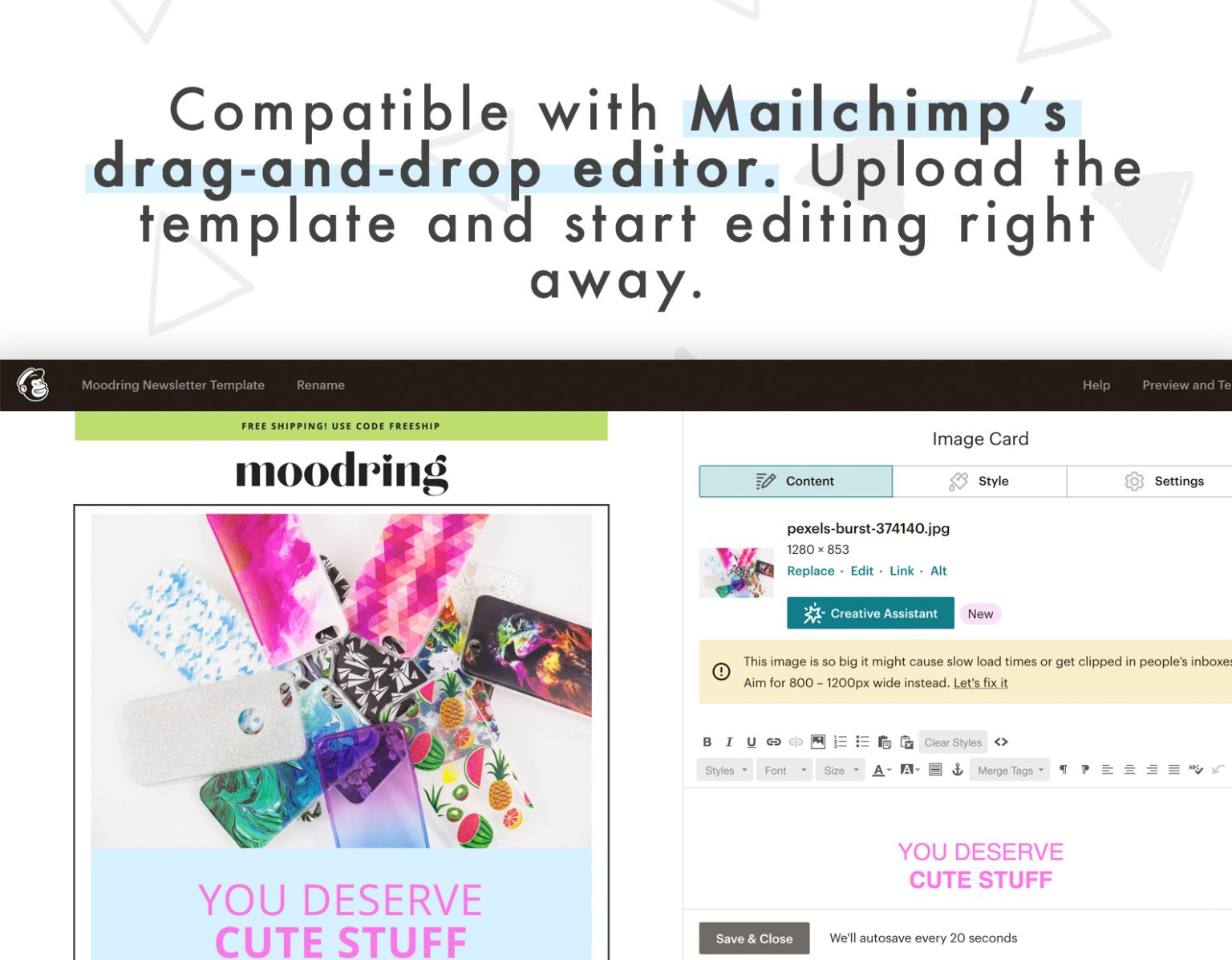 Editable Email Template (Moodring) | Little Theme Shop